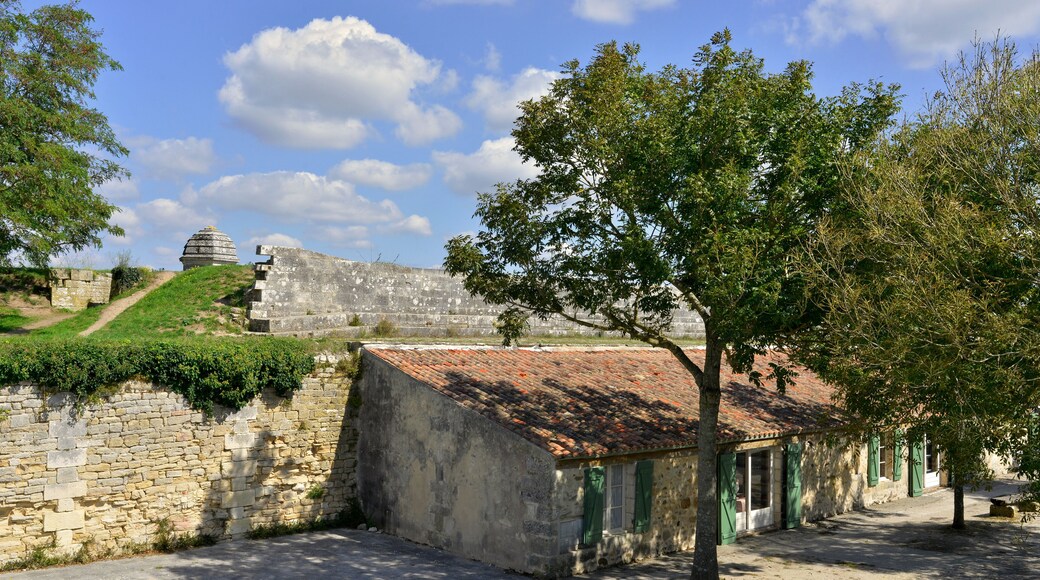 Maisons dans la place forte de Hiers-Brouage (17320 Marennes-Hiers-Brouage), département de la Charente-Maritime en région Nouvelle-Aquitaine, France