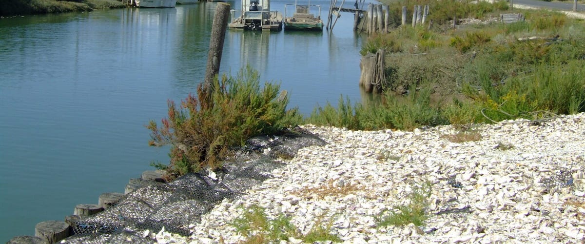 Marennes Canal 1
