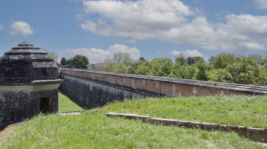 Ancient Royal City of Hiers-Brouage. Fortified garrison of the Charentais marshes. Courtine and Watchtower on the ramparts