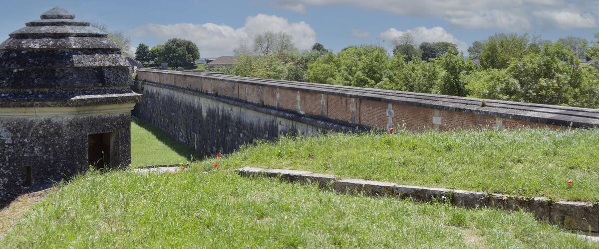 A stone wall with a brick section, surrounded by greenery and trees.