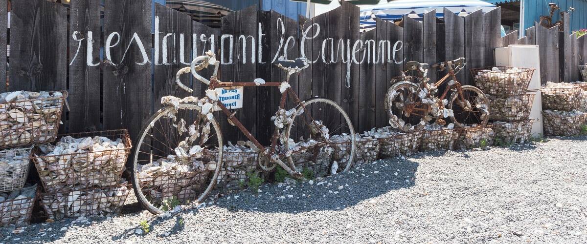 The best place to eat oysters and fresh seafood in the area.