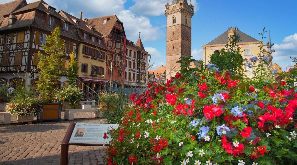 Obernai im Elsass im Frühherbst