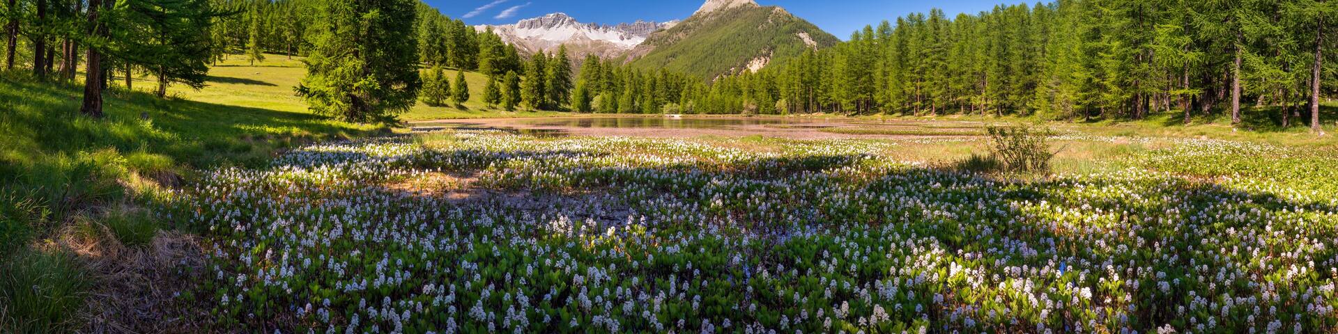 Lac de Roue lake in the Queyras Nature Park late Spring -early Summer (panoramic). Hiking site near Arvieux in the Hautes-Alpes, French Alps, France