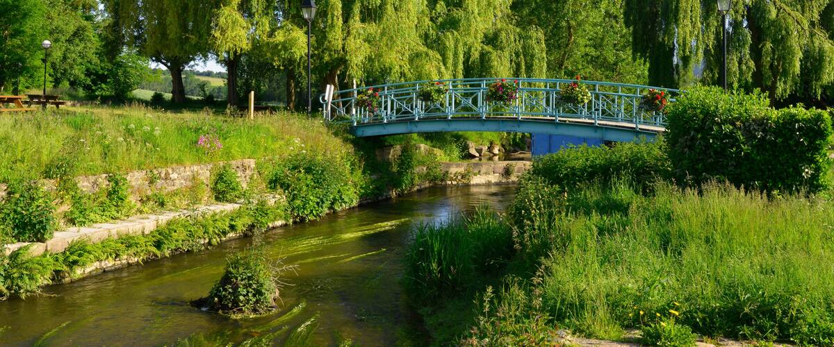 A blue bridge over a river, surrounded by lush greenery and trees.
