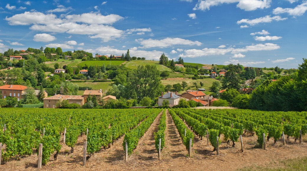 ๋น๋๋ฆฌ-์ฌ๋ฅด-ํ๋ฅด๋