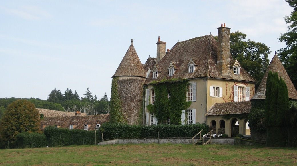 Old prieuré, now castle of Boutissaint, near Treigny in Puisaye, south of Yonne departement, Bourgogne, France. Built in the 16th century, it is now famous for its ~1,000 acre animal park spreading over ~1,000 acres, created in 1968. The park includes European bisons along with mouflons, deers, fallow deers, boars and many other local animals, in a forest typical of Puisaye: wild, with lots of streams and ponds and full of fascinating secret places. This side of the castle looks towards the north-west. In the nature park of the old priory, now castle of Boutissaint, near Treigny in Puisaye, south of Yonne departement, Bourgogne, France: the "Saint-Langueur fountain", a spring on the south side of the castle, about 130 m away from the castle's main building. Old prieuré, now castle of Boutissaint, near Treigny in Puisaye, south of Yonne departement, Bourgogne, France: Boar wandering on the slope that used to border the north side of the "étang des Moines" (the "Monks' pond") before a tree fell on the levy that held the pond's water, breaking said levy and bringing the pond to totally dry up in a few short months. The owner and park manageress Mrs Valérie Galabert, daughter of the parc creator Mr Pierre-Elie Borione, has endeavoured to raise the cash needed to restore the pond, which is a needed watering point for the animals in the park.