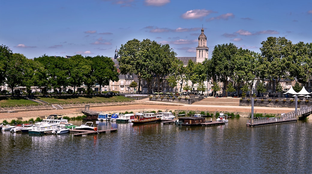 Rives-du-Loir-en-Anjou