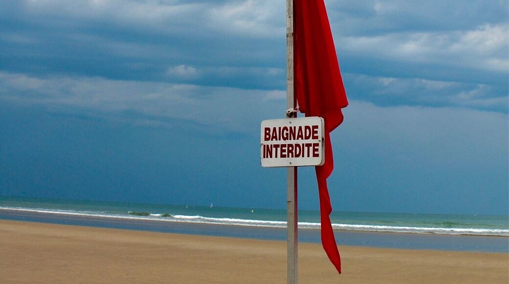 thunder is coming, everybody must leave from the ocean