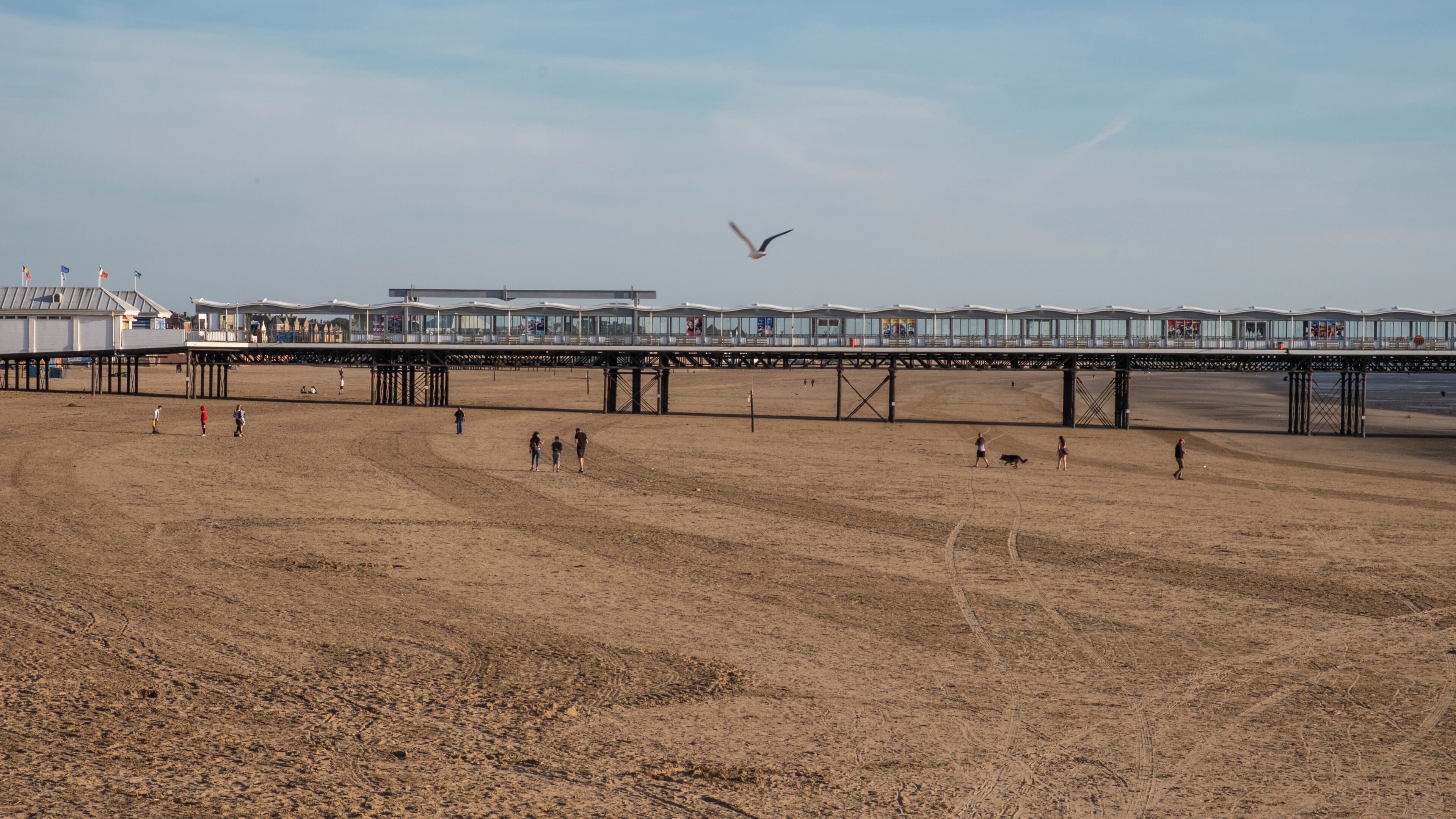 A beach with a pier extending into the water, people walking, and a seagull flying.