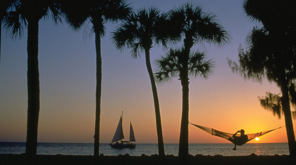 Siesta Key