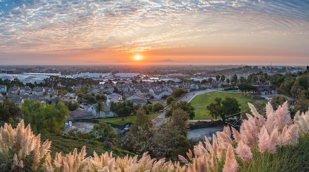 Serene sunrise at Signal Hill