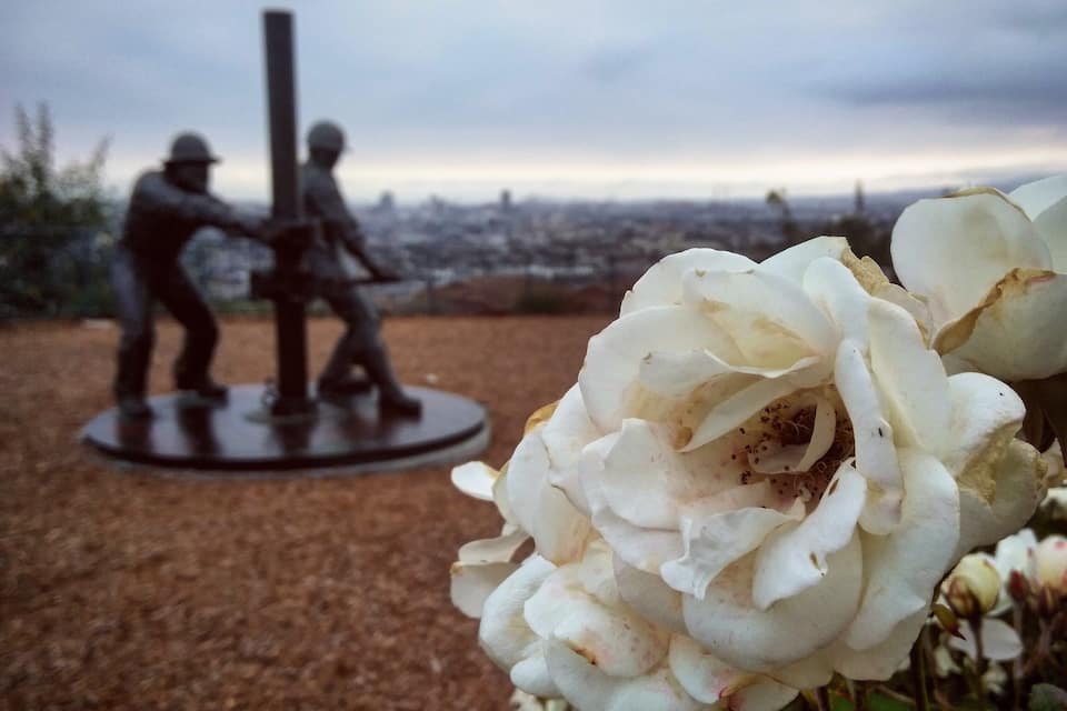 Uma rosa branca em primeiro plano, com um fundo desfocado de uma paisagem urbana e uma estátua de duas figuras.