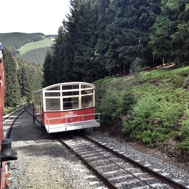 A red and white cable car moving along a track surrounded by dense forest and hills.