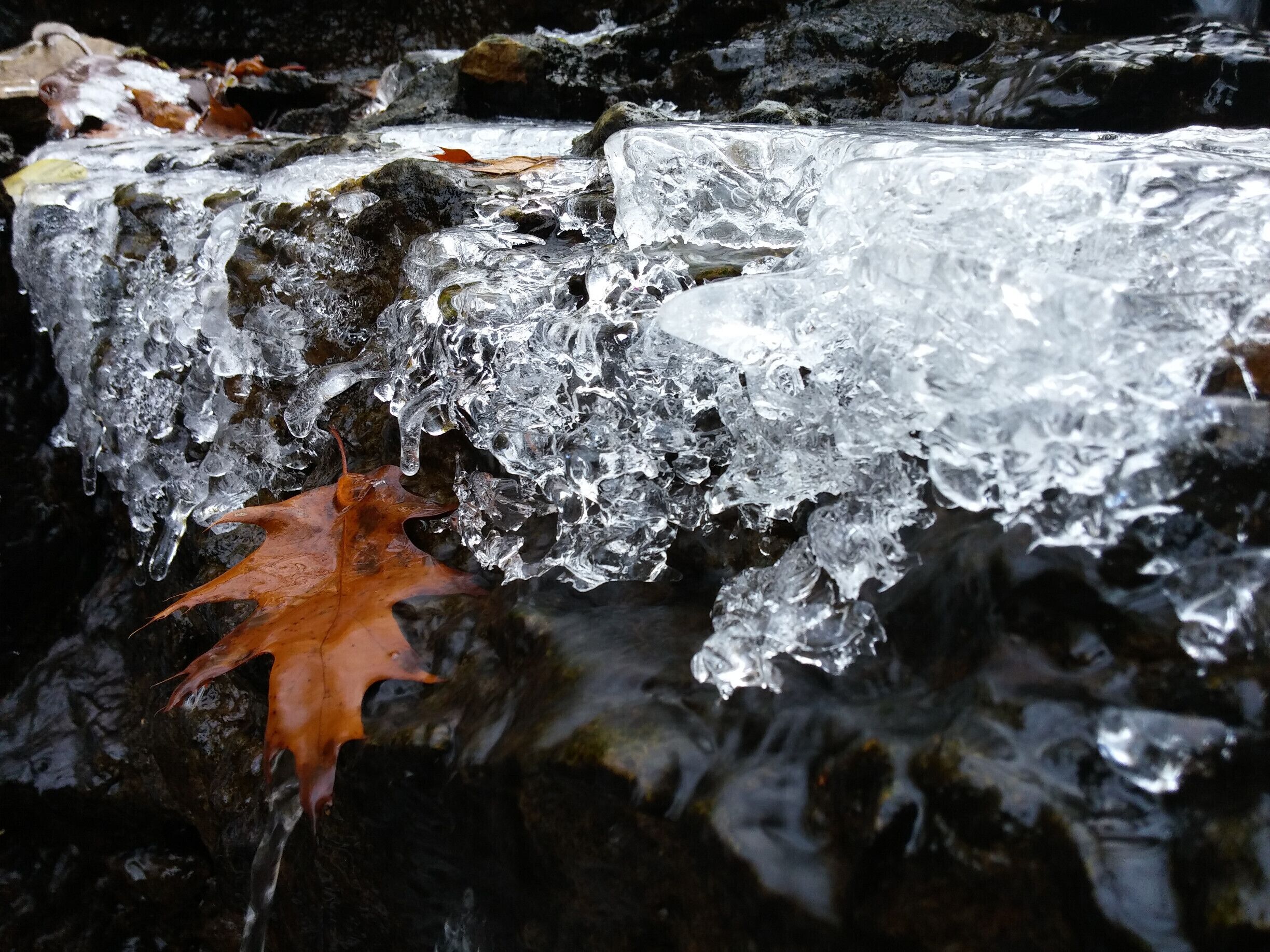 The water of Indian Run slow to a trickle and then become frozen in time as temperatures drop. Indian Run Falls Park is a hidden oasis tucked in a forested gorge behind a fairly heavily developed retail corridor. The trail offers several overlooks and a bridge crossing the falls on the western end. The amount of water moving through the falls and the type of flowers/fungi/foliage change seasonally providing a constantly evolving escape from the sometimes monotonous vistas of suburban sprawl. 

#localgem