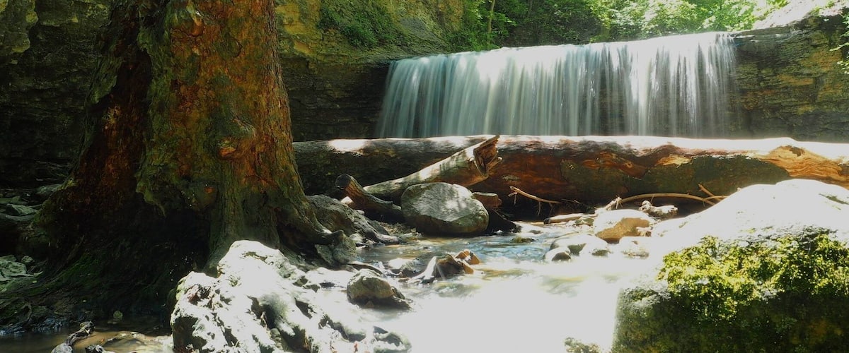 On the way to emptying into the Scioto River, the waters of Indian Run provide visitors with a couple unexpected waterfalls. Especially considering the current conditions of construction craziness surrounding the park.