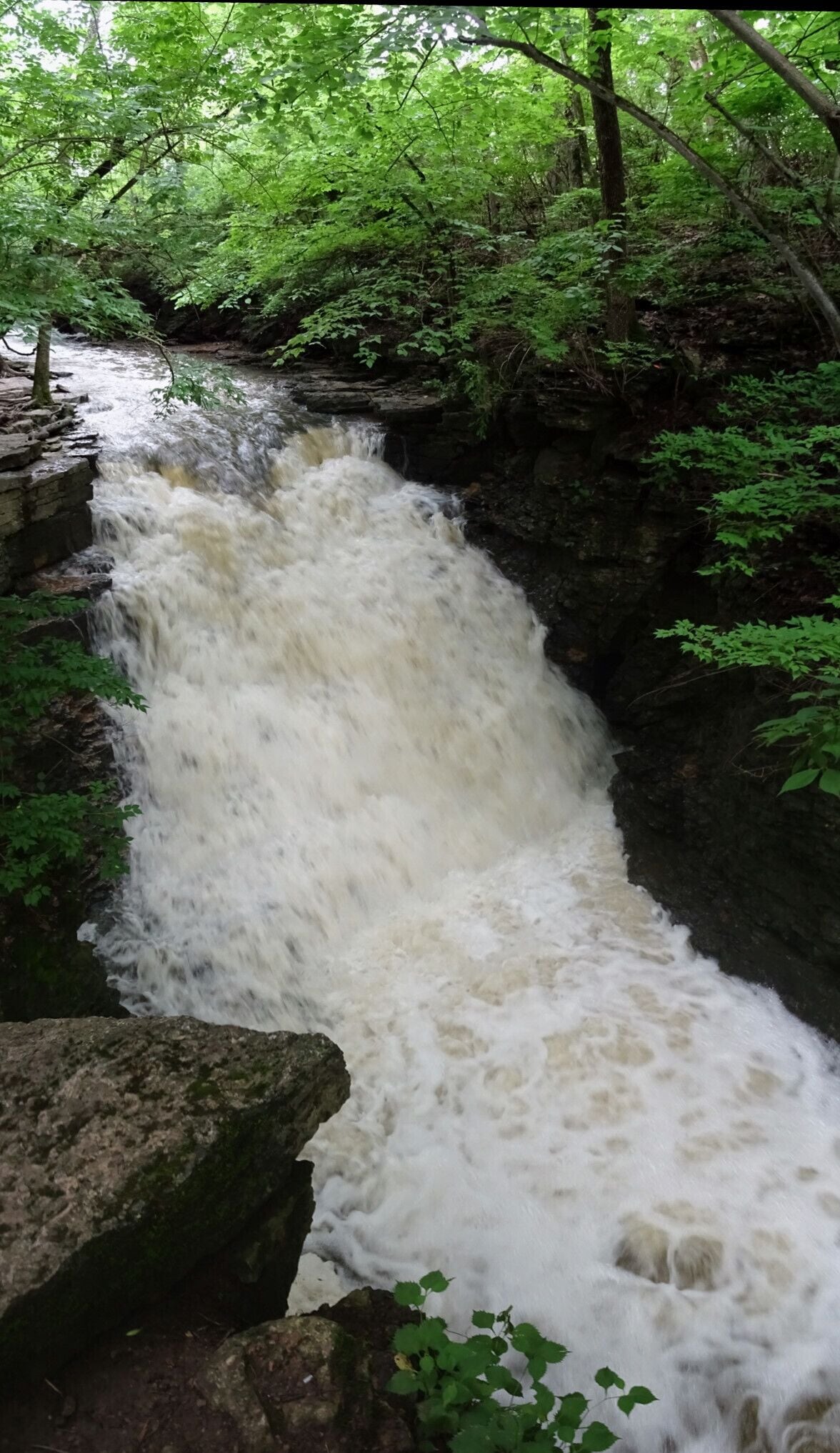 A waterfall cascading over rocks in a forested area.