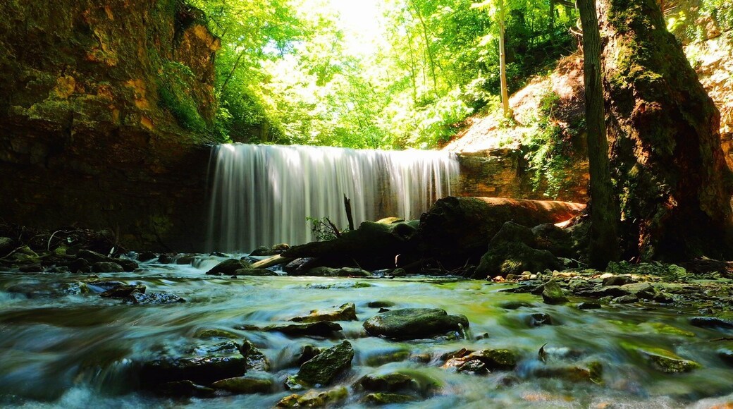 On the way to emptying into the Scioto River, the waters of Indian Run provide visitors with a couple unexpected waterfalls. Especially considering the current conditions of construction craziness surrounding the park.