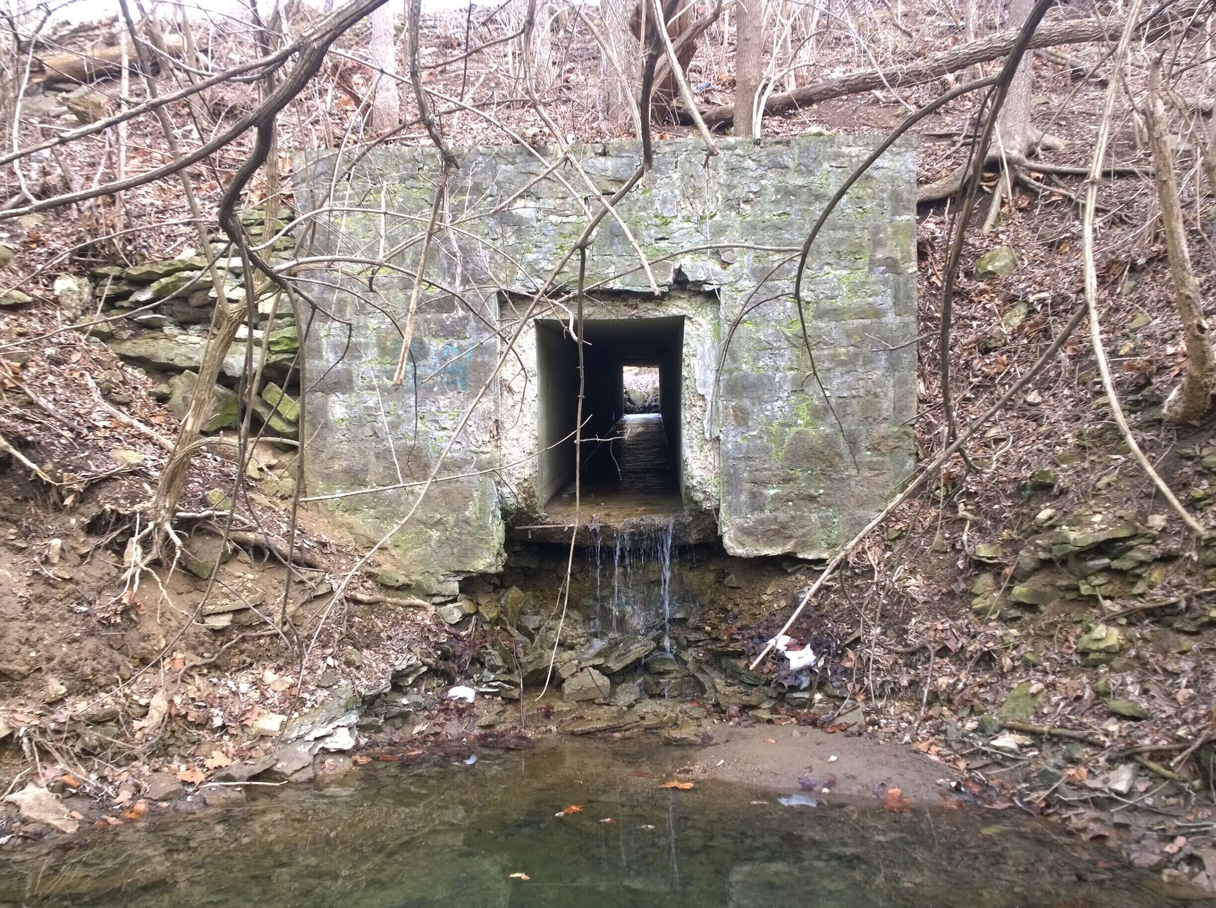 The Riverway Kiwanis Park is located along the East shore of the Scioto River, at the north end of Griggs Reservoir. This park provides a boardwalk nature-trail through the wetlands along the river.