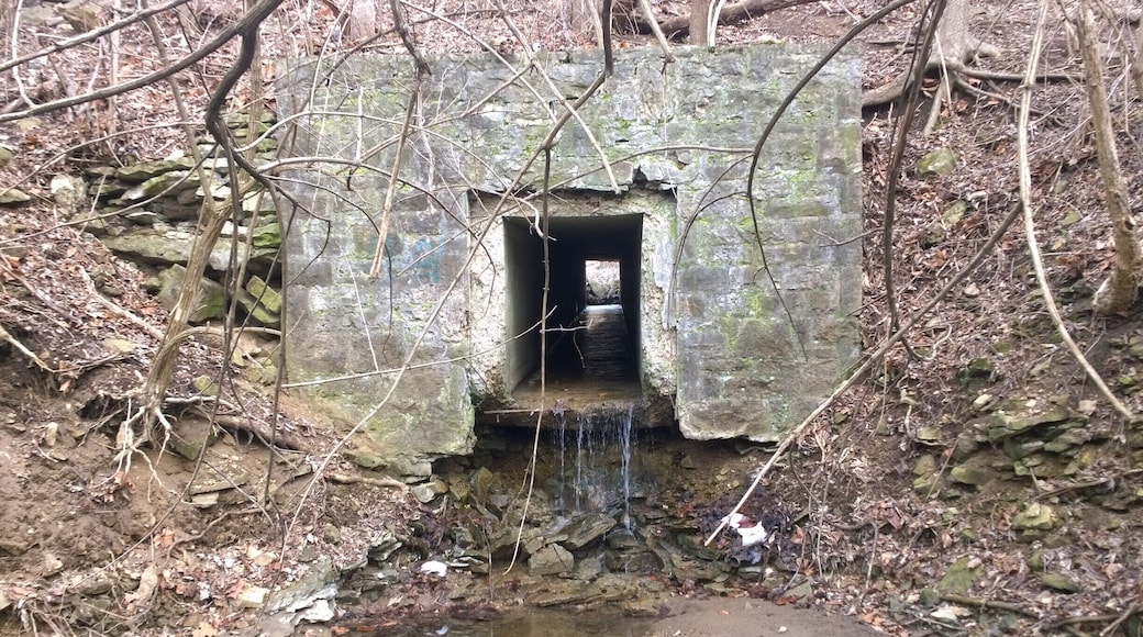 The Riverway Kiwanis Park is located along the East shore of the Scioto River, at the north end of Griggs Reservoir. This park provides a boardwalk nature-trail through the wetlands along the river.