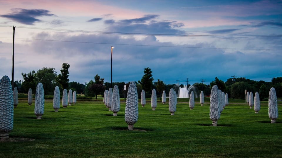 A field of unique, textured sculptures resembling eggs arranged in rows.