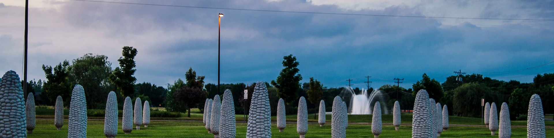 View of the Field of Corn at the Sam and Eulalia Frantz Park, Dublin, Ohio