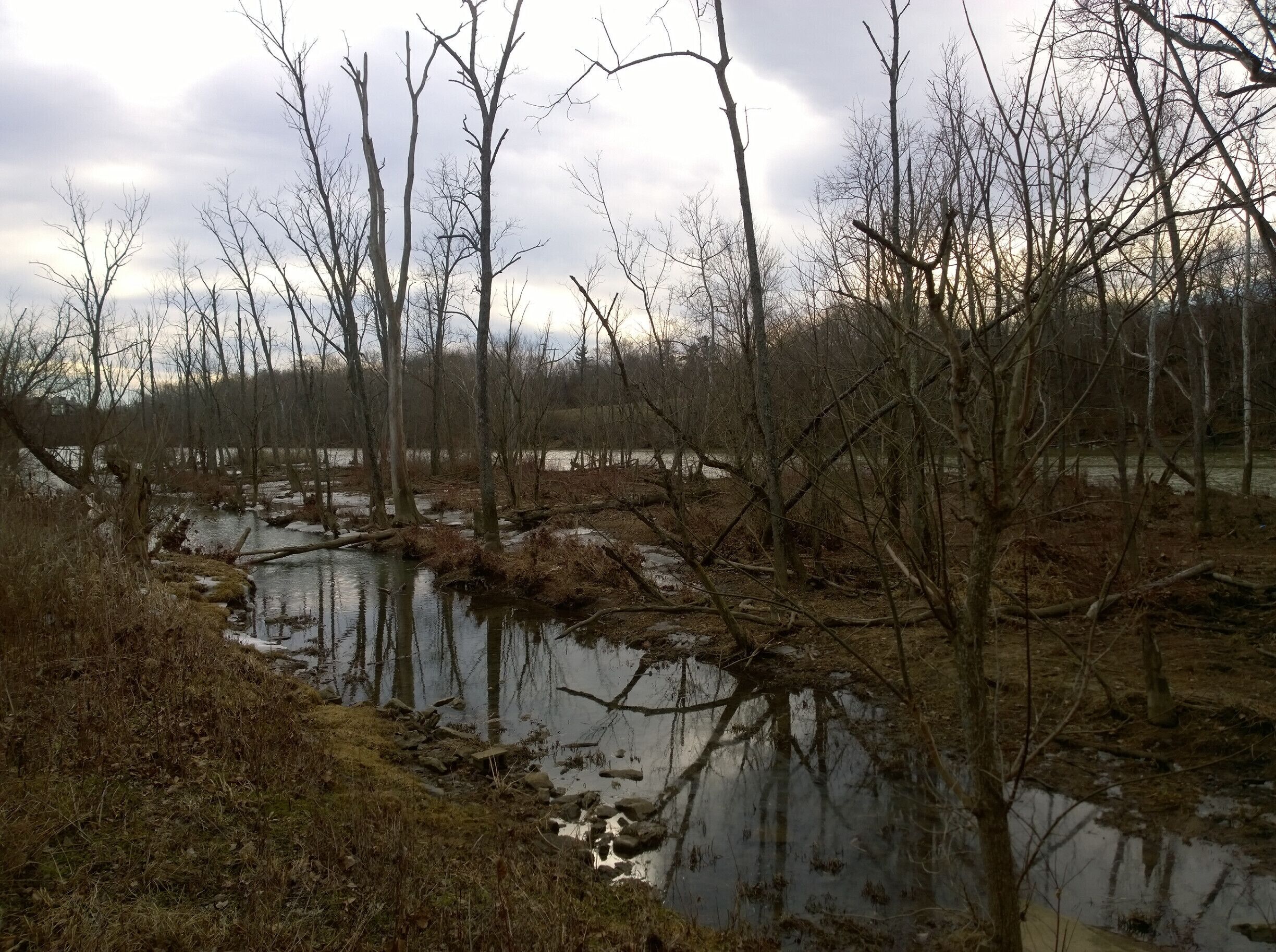The Riverway Kiwanis Park is located along the East shore of the Scioto River, at the north end of Griggs Reservoir. This park provides a boardwalk nature-trail through the wetlands along the river.