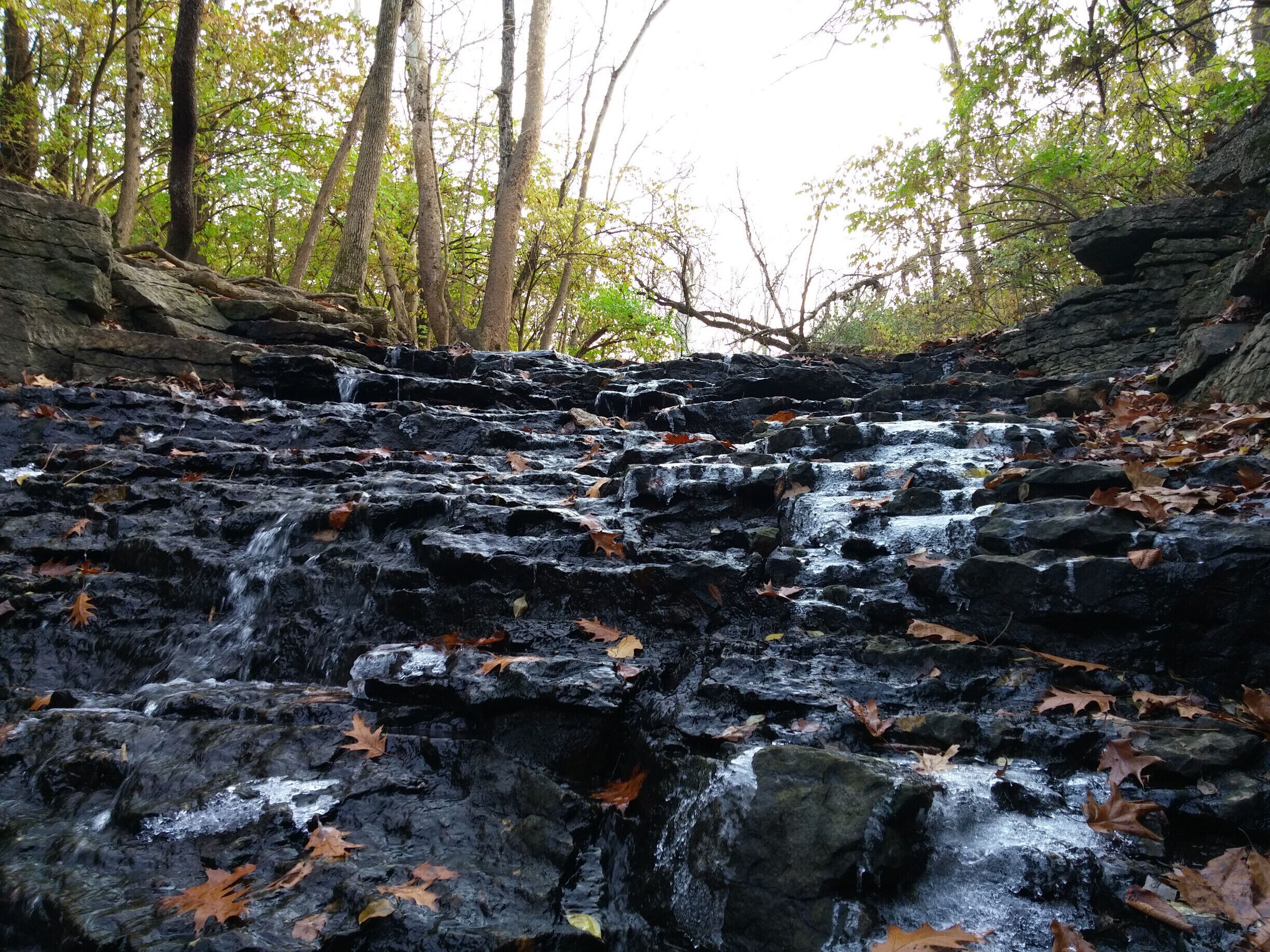 The water of Indian Run slow to a trickle and then become frozen in time as temperatures drop. Indian Run Falls Park is a hidden oasis tucked in a forested gorge behind a fairly heavily developed retail corridor.

The trail offers several overlooks and a bridge crossing the falls on the western end. The amount of water moving through the falls and the type of flowers/fungi/foliage change seasonally providing a constantly evolving escape from the sometimes monotonous vistas of suburban sprawl.

#localgem