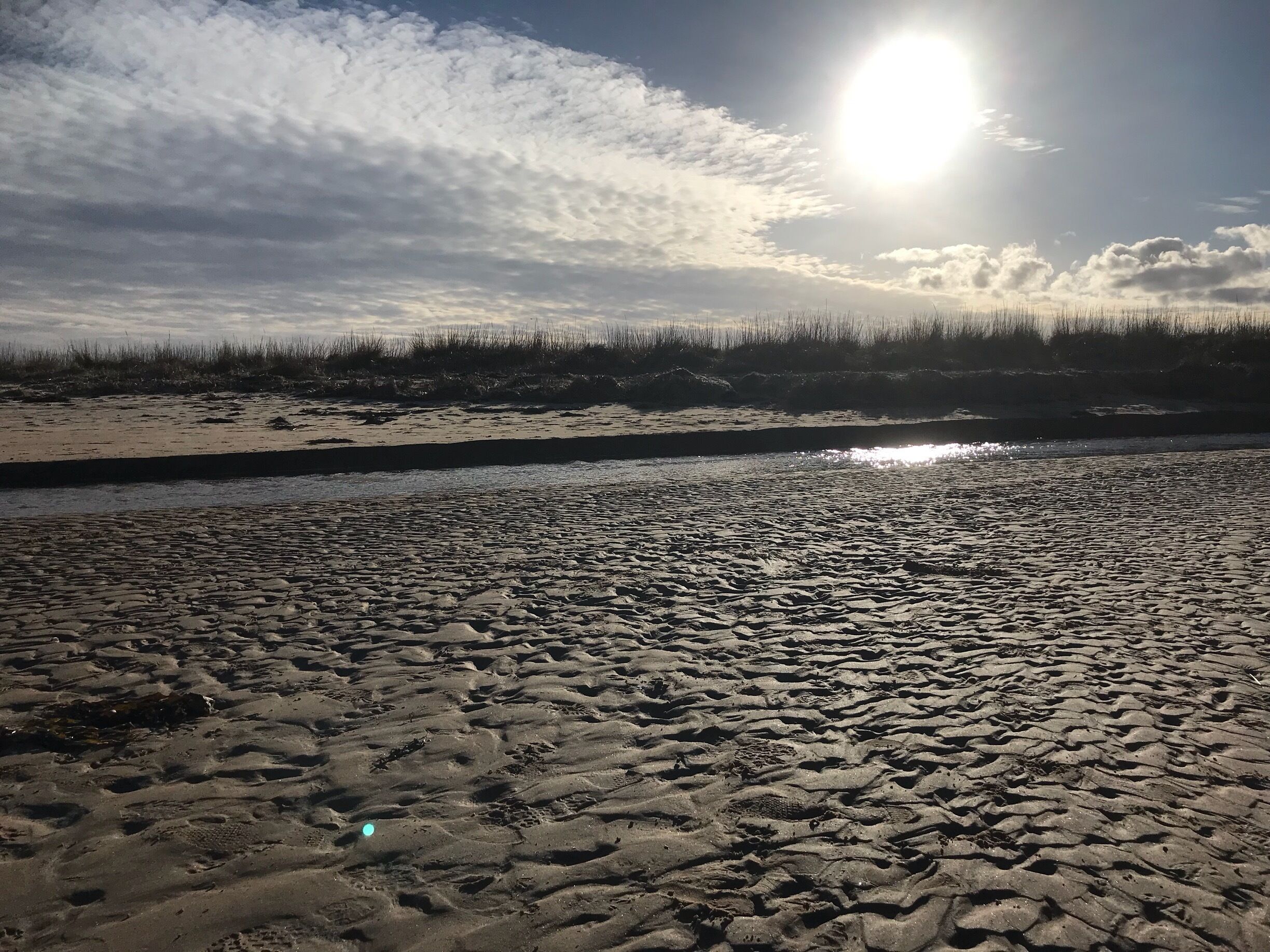Dornoch Beach