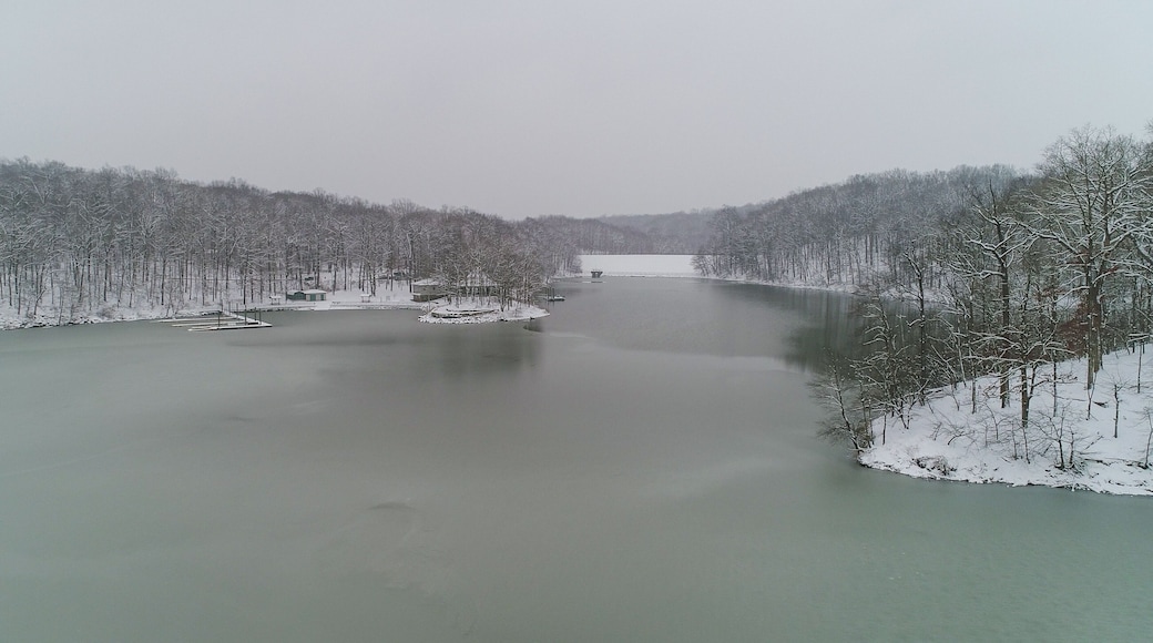 A frozen river surrounded by snow-covered trees.