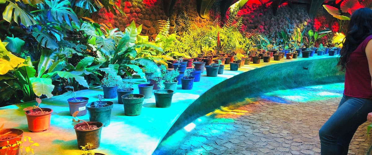 This place is the most beautiful place I’ve ever been and I’ll ever be. #colors #peace #architecture #mexico #culture #stainedglass #glass