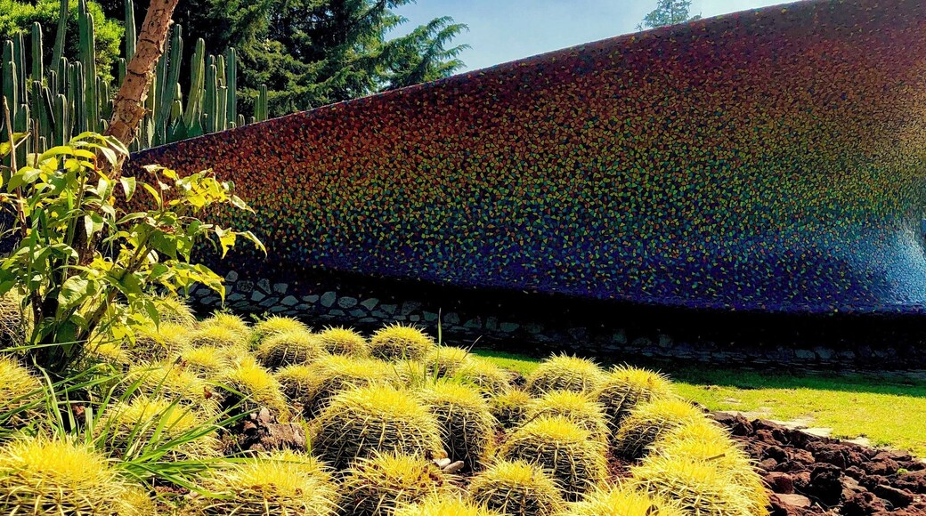This parks will never stop giving surprises along the way #colours #park #nature #colors #rainbow #cactus