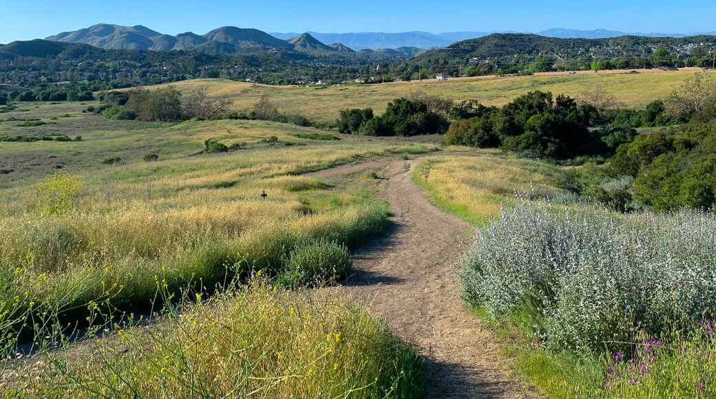 Simi Valley