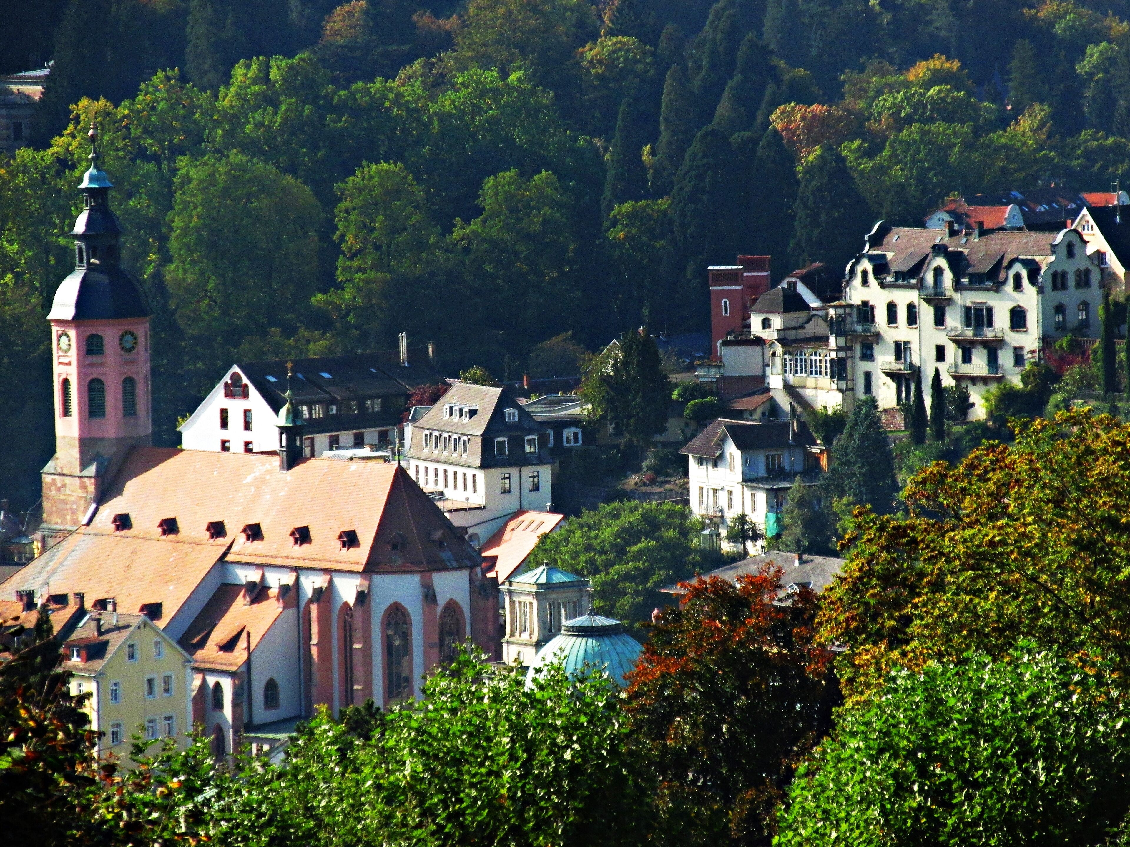 Blick vom Annaberg auf die Stiftskirche und Altstadt Baden-Baden