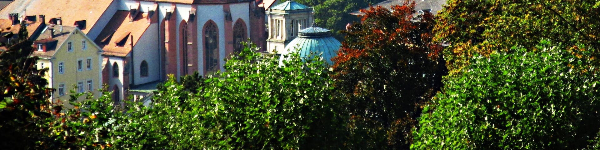 Blick vom Annaberg auf die Stiftskirche und Altstadt Baden-Baden