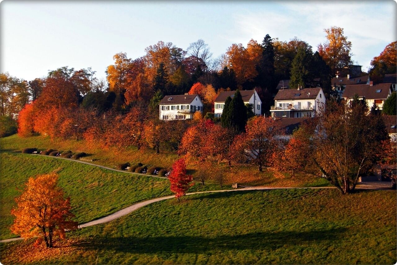 A hillside with autumn-colored trees and houses.