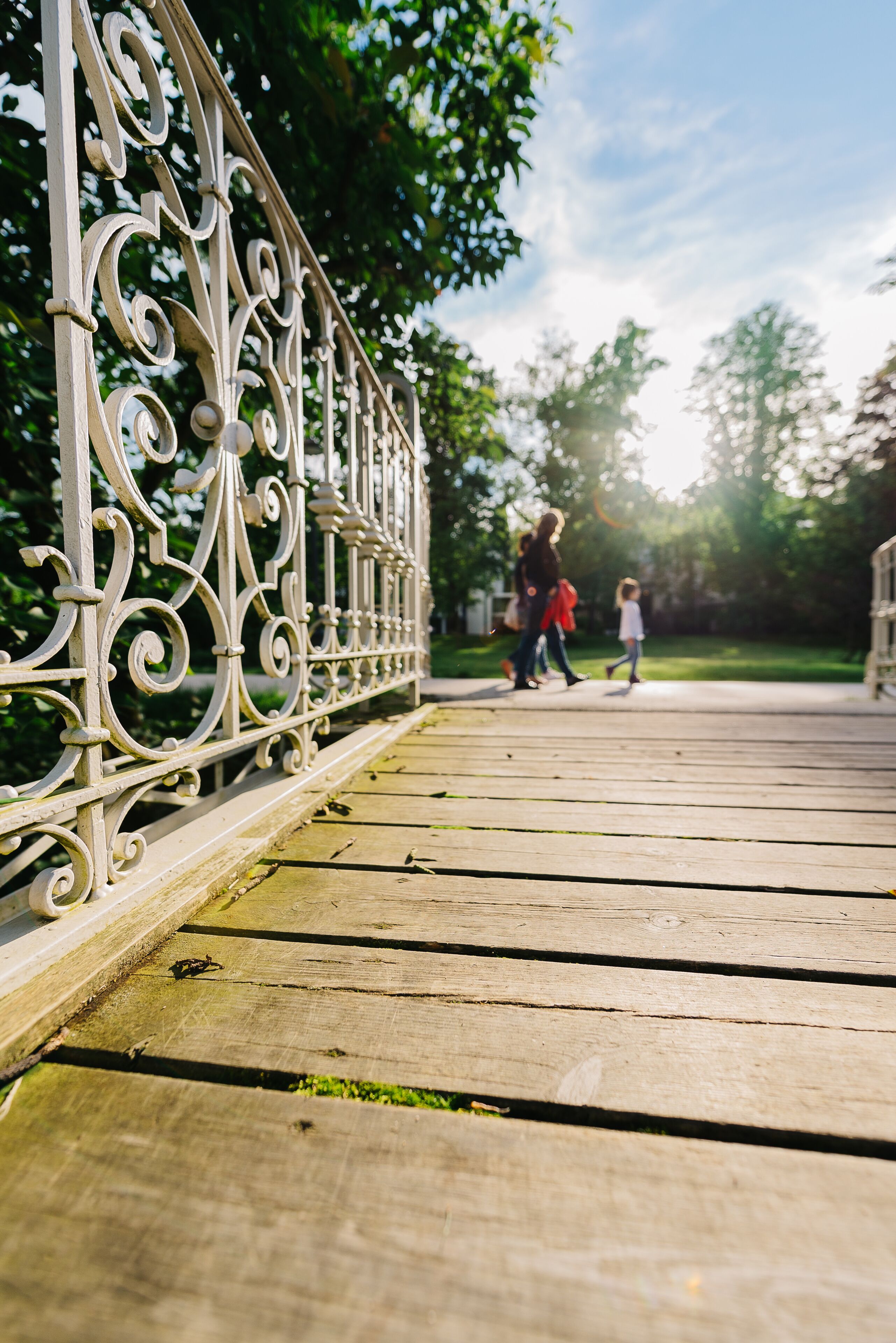 Beautiful Park during Summer in Baden-Baden