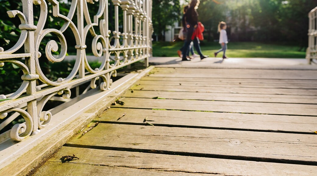 Beautiful Park during Summer in Baden-Baden