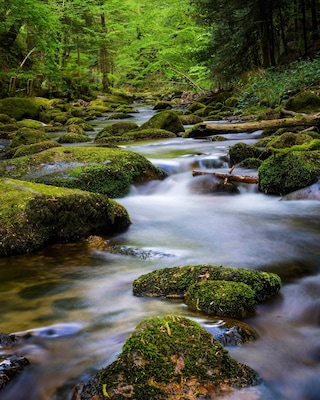 This is the river in The Black Forest in Baden Baden Germany.
#nature
#nature photo contest