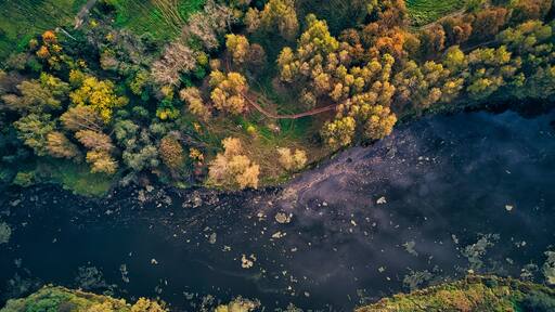 High angle view of Bethany pond
