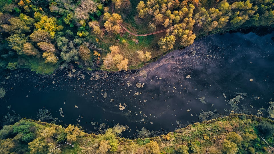 An aerial view of a river with surrounding forested areas and a visible path.