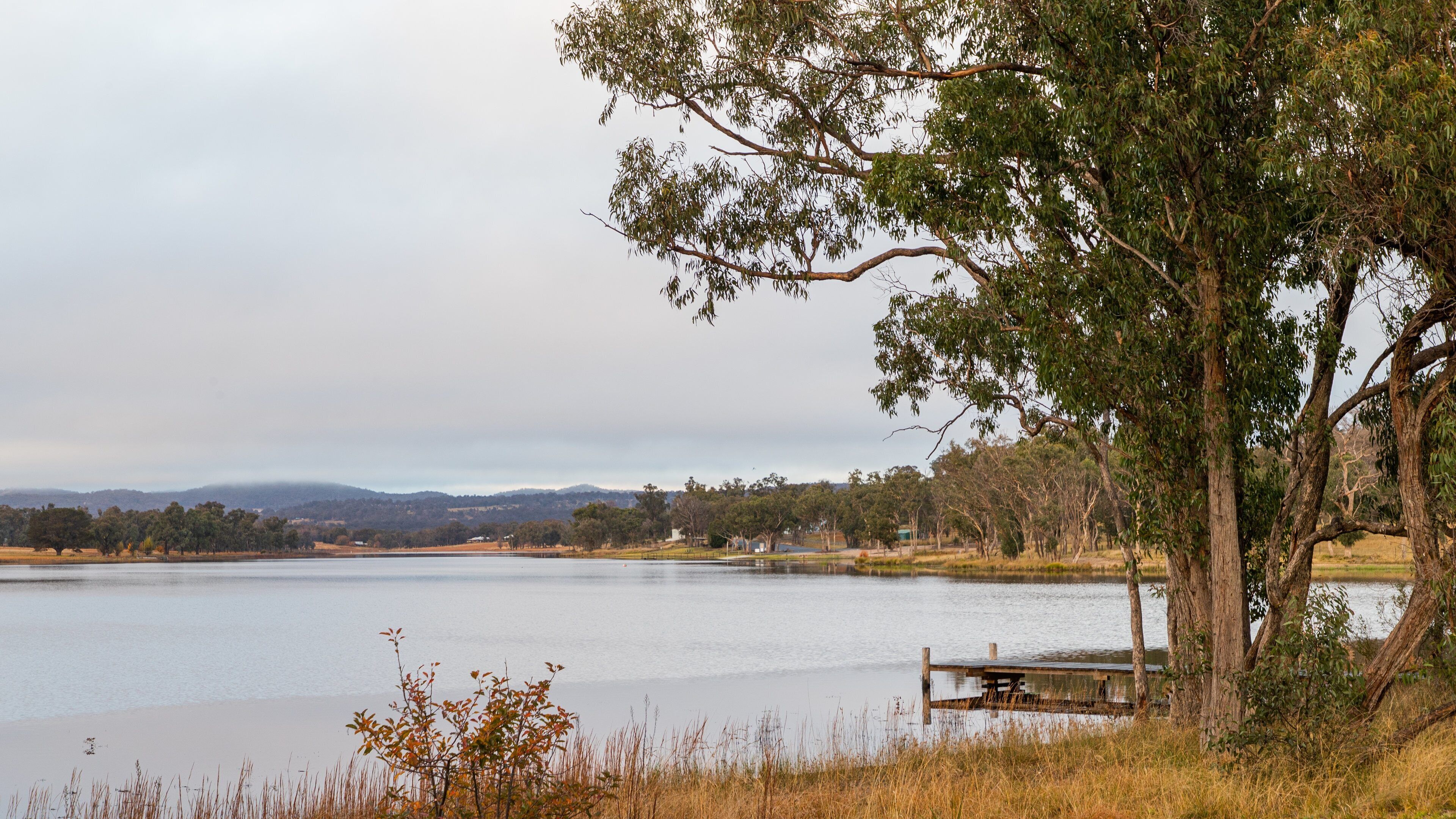 A lake with a wooden dock, surrounded by trees and a distant mountain range.