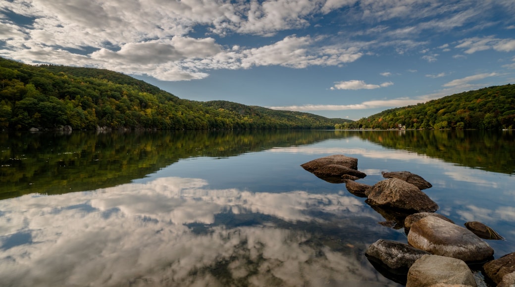 A calm lake with a reflection of the sky and surrounding forest.