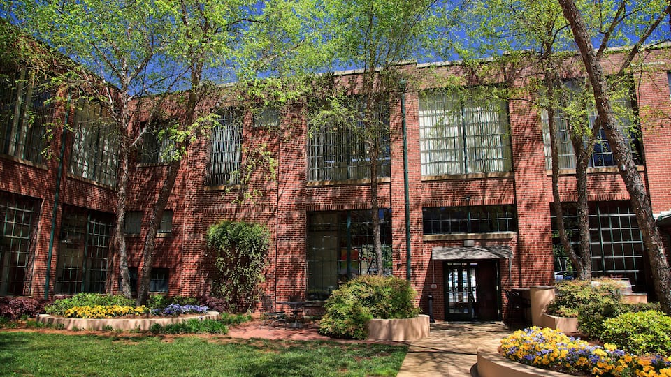 Byron's Courtyard South End in Charlotte