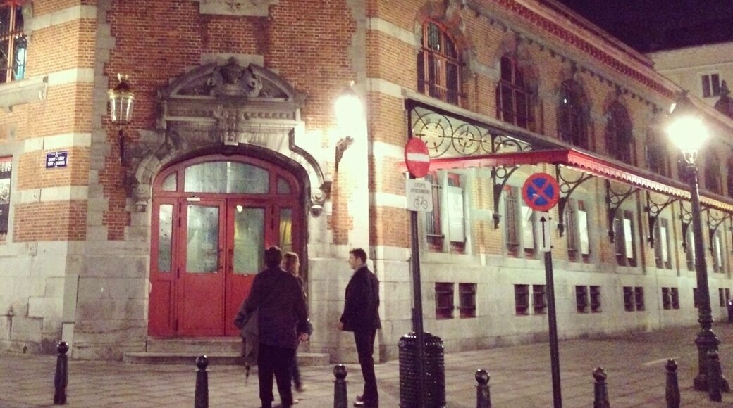 The former covered market of Brussels is now a charming heart of a very animated pub and café neighbourhood. Drinks and food are served inside or outside, most nights a house dj is fearured inside and there are frequent free entry art exhibition. A must see in Brussels.