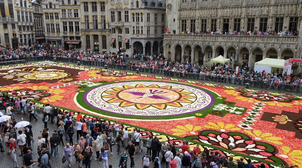 Every 2 years the Grand-Place in Brussels is covered with a flower carpet of begonias. The carpet of 77 m x 24 m is composed by about 120 volunteers, with more than 600.000 begonias. The 2018 theme of the flower carpet is Mexico. The carpet is dedicated to Guanajuato, a Mexican region with a particularly rich floral culture and tradition.
Next edition: August 2020. #Perspectives #Culture