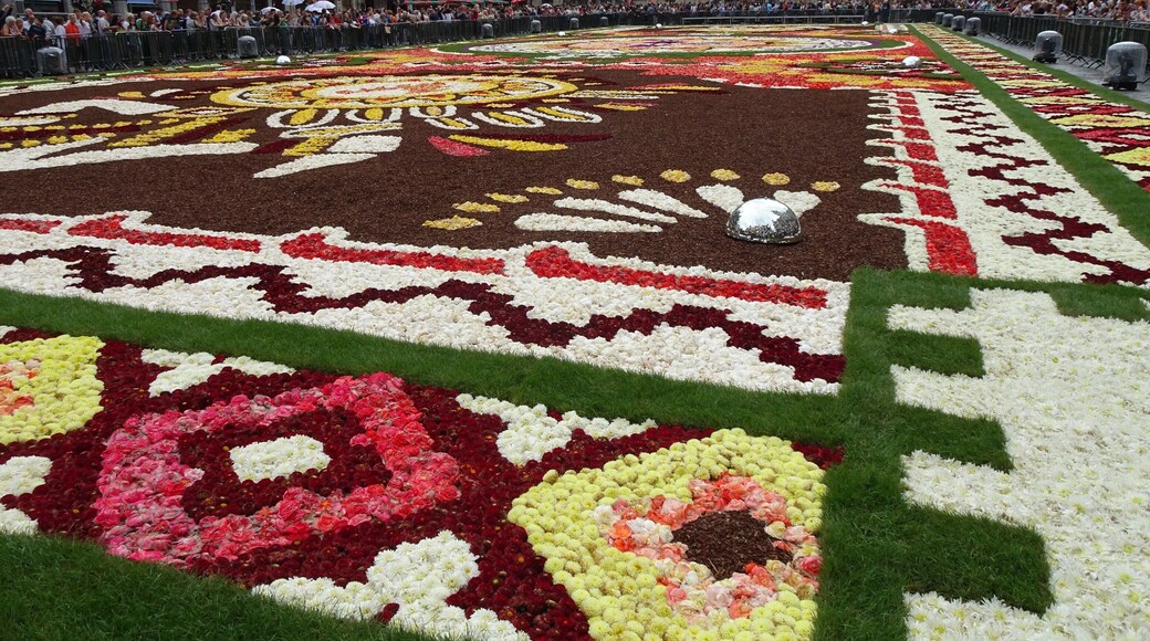 Every 2 years the Grand-Place in Brussels is covered with a flower carpet of begonias. The carpet of 77 m x 24 m is composed by about 120 volunteers, with more than 600.000 begonias. The 2018 theme of the flower carpet is Mexico. The carpet is dedicated to Guanajuato, a Mexican region with a particularly rich floral culture and tradition.
Next edition: August 2020. #Culture