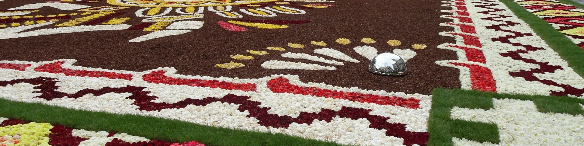 Every 2 years the Grand-Place in Brussels is covered with a flower carpet of begonias. The carpet of 77 m x 24 m is composed by about 120 volunteers, with more than 600.000 begonias. The 2018 theme of the flower carpet is Mexico. The carpet is dedicated to Guanajuato, a Mexican region with a particularly rich floral culture and tradition.
Next edition: August 2020. #Culture