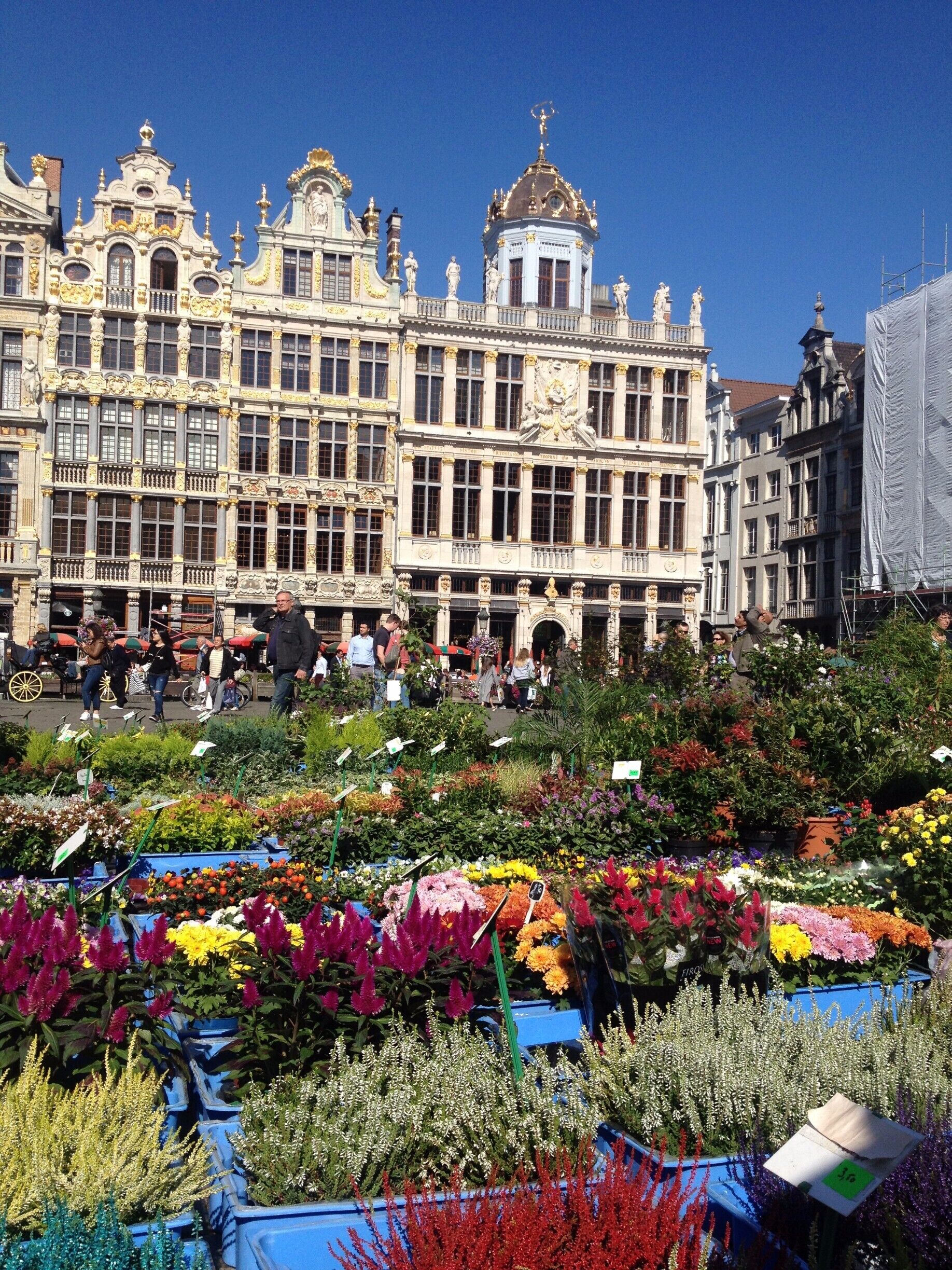 Ein historisches Gebäude mit aufwendiger Architektur und einem Blumenmarkt davor.