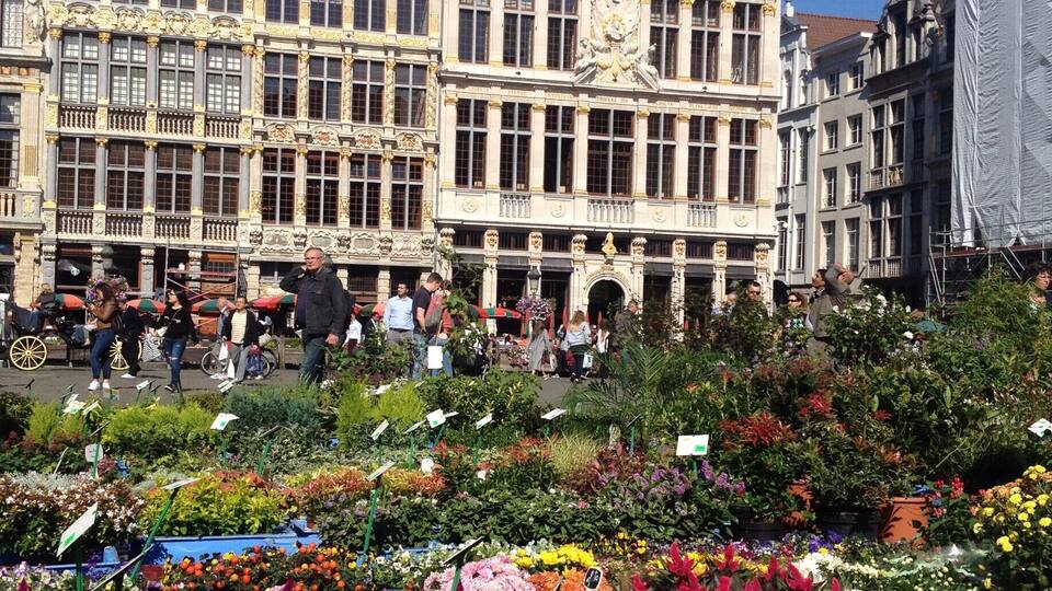 Ein historisches Gebäude mit aufwendiger Architektur und einem Blumenmarkt davor.