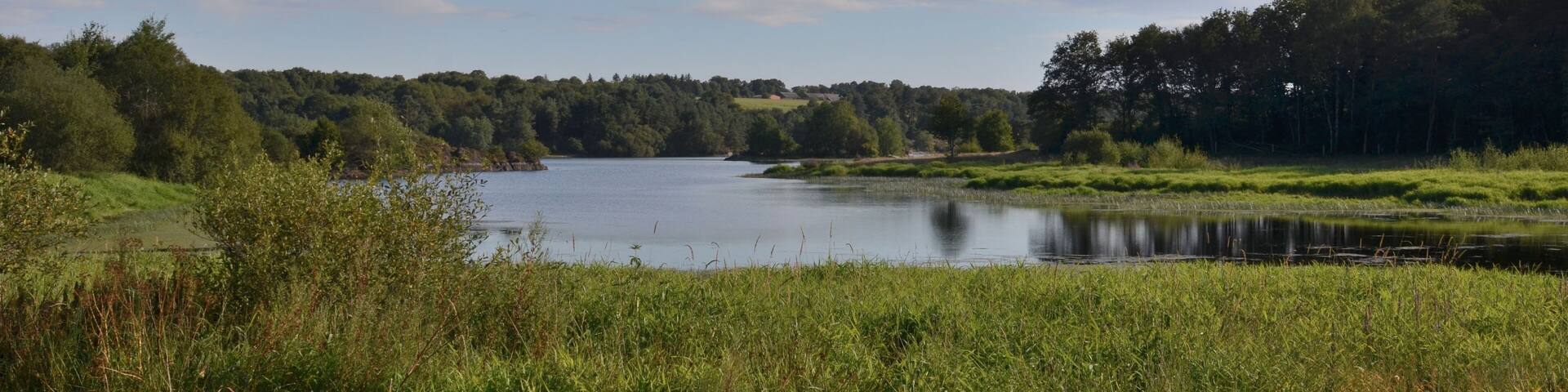 Retenue de la Chèze, étang de Saint-Thurial, pays de Rennes, Bretagne, France